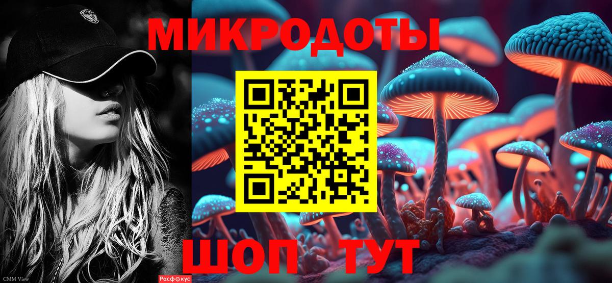Псилоцибиновые грибы Psilocybe  Вход с VPN  Скопин 